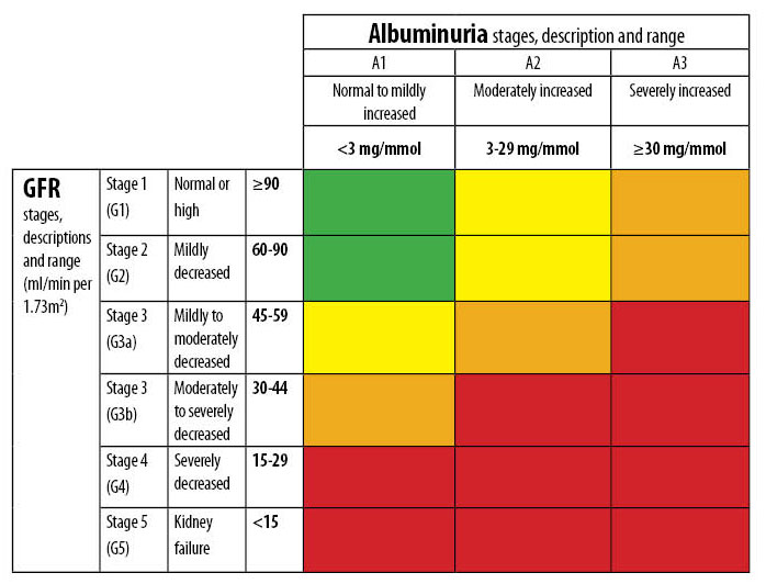 Stages Of Chronic Kidney Disease According To Nice Gu - vrogue.co